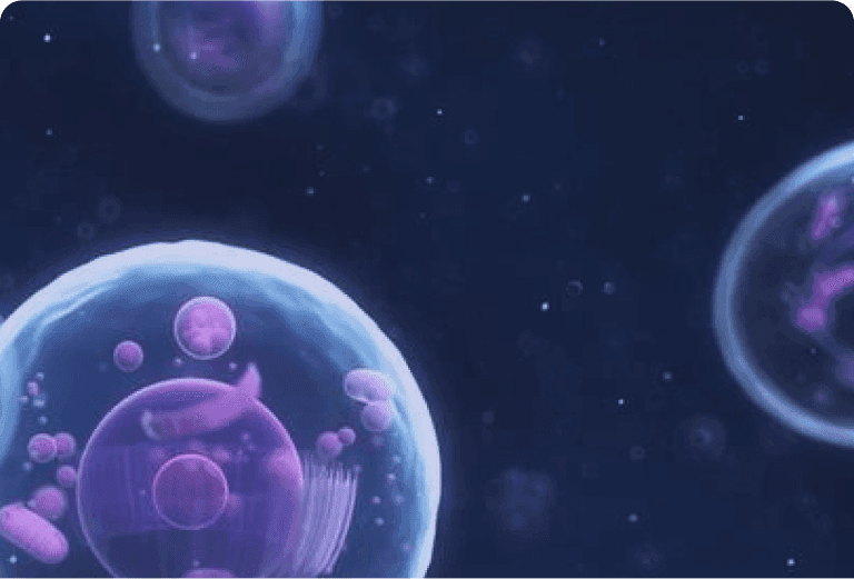 ChatDD - Insight background